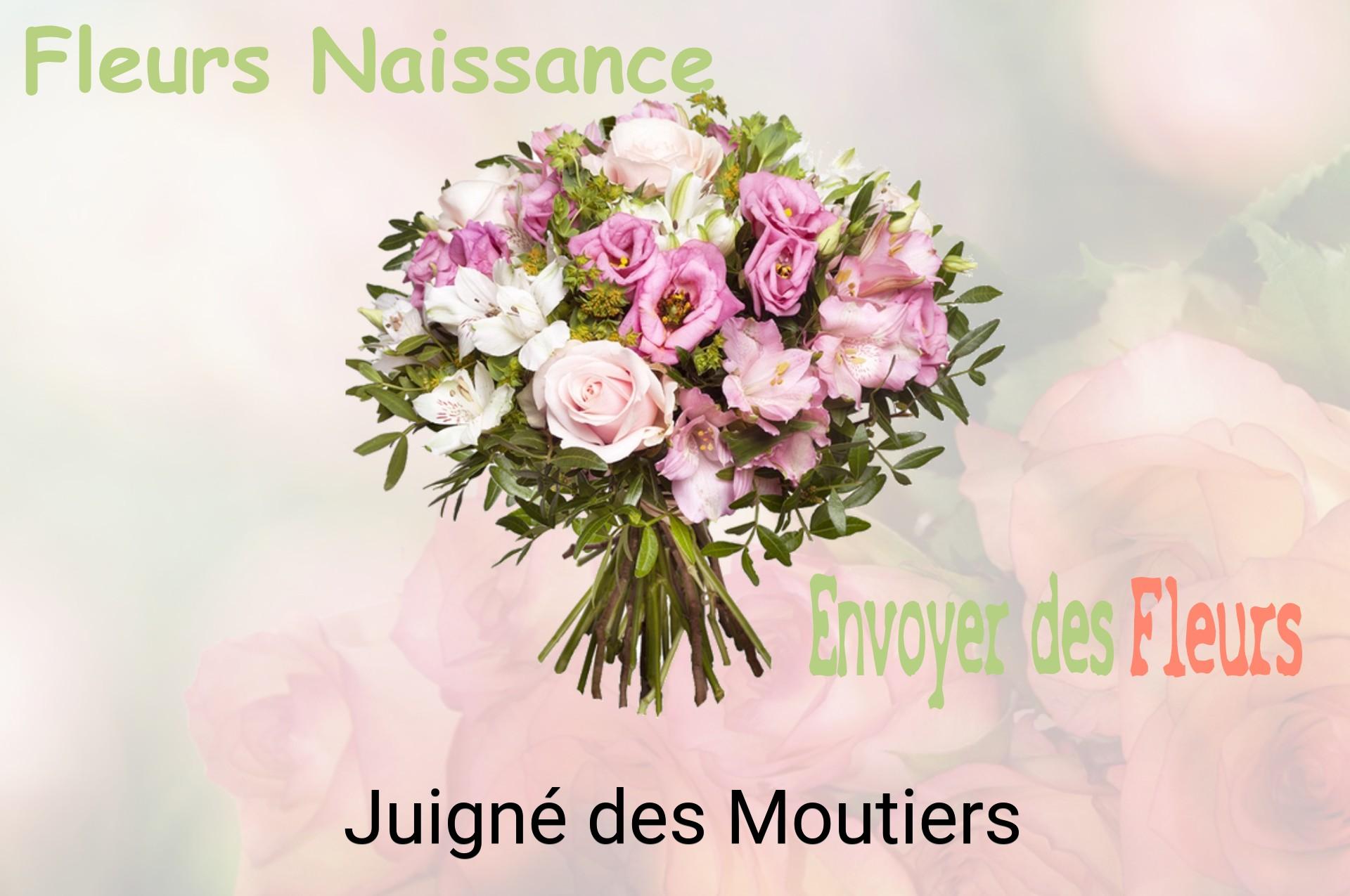Bouquet de fleurs de naissance livré à Juigné-des-Moutiers